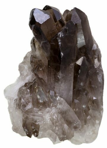 Smoky Quartz Crystal Cluster - Brazil #61461
